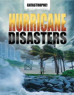 Book cover for Hurricane Disasters