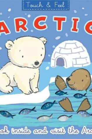 Cover of Touch and Feel Arctic