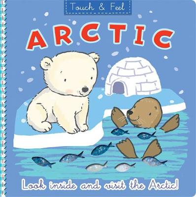 Cover of Arctic