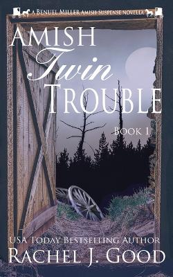 Book cover for Amish Twin Trouble