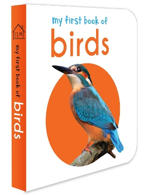 Book cover for My First Book of Birds