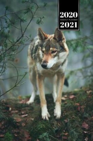 Cover of Wolf Wolves Week Planner Weekly Organizer Calendar 2020 / 2021 - Through the Forest