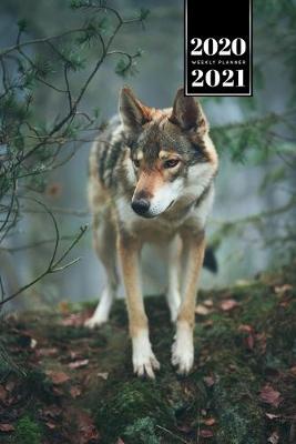 Book cover for Wolf Wolves Week Planner Weekly Organizer Calendar 2020 / 2021 - Through the Forest