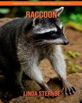 Book cover for Raccoon