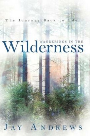 Cover of Wanderings in the Wilderness