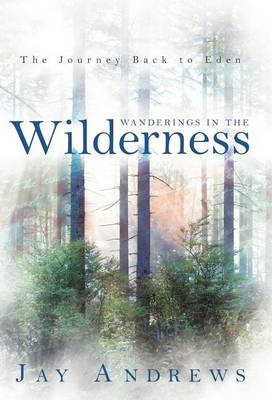 Book cover for Wanderings in the Wilderness