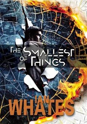Book cover for The Smallest of Things