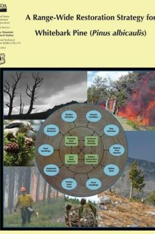 Cover of A Range-Wide Restoration Strategy for Whitebark Pine (Pinus Albicaulis)