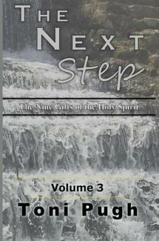 Cover of The Next Step Volume III