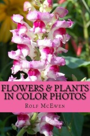 Cover of Flowers & Plants in Color Photos