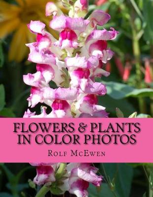 Book cover for Flowers & Plants in Color Photos