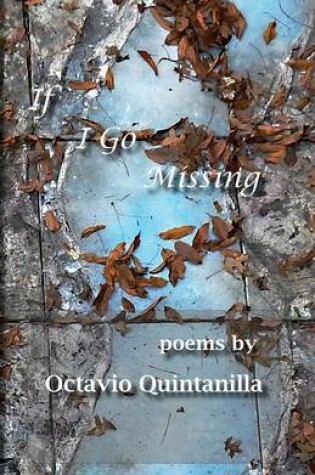 Cover of If I Go Missing