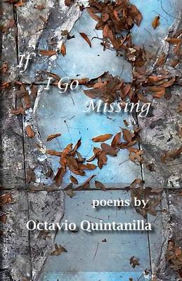 Book cover for If I Go Missing