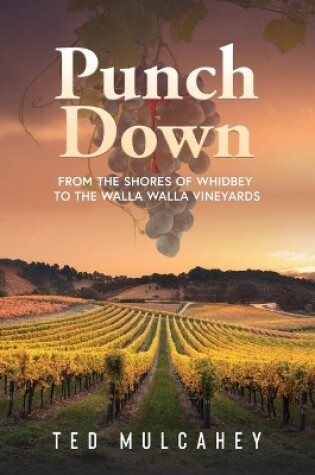 Cover of Punch Down