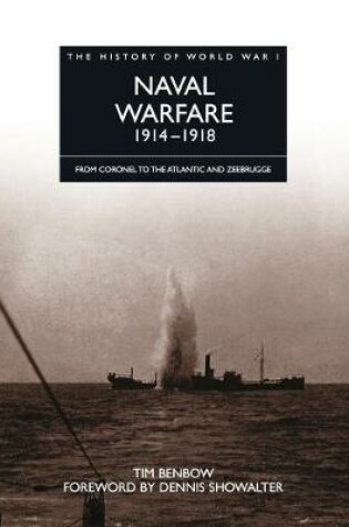 Cover of Naval Warfare 1914 - 1918