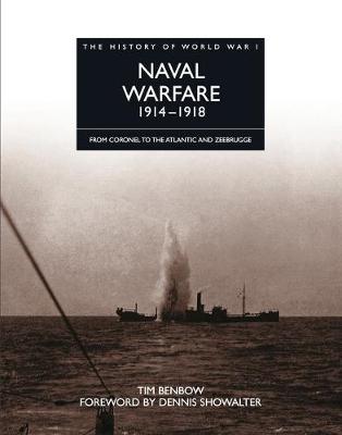 Cover of Naval Warfare 1914 - 1918