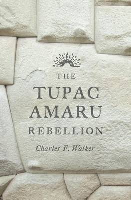 Book cover for The Tupac Amaru Rebellion