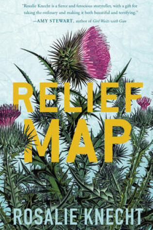 Cover of Relief Map