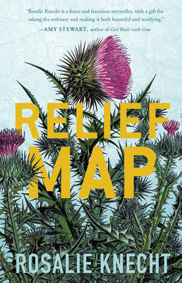 Book cover for Relief Map