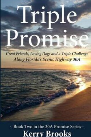 Cover of Triple Promise