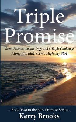 Book cover for Triple Promise