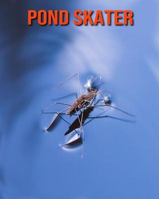 Book cover for Pond Skater