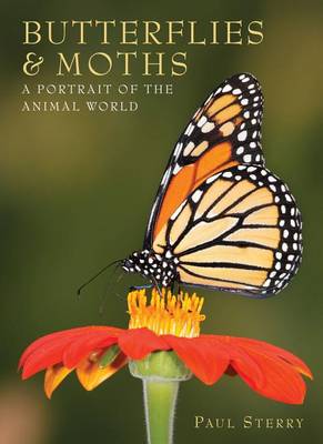 Book cover for Butterflies & Moths