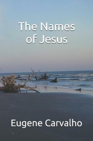 Cover of The Names of Jesus