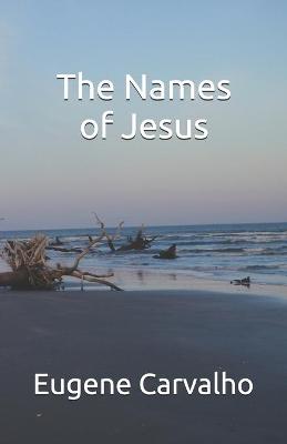 Book cover for The Names of Jesus