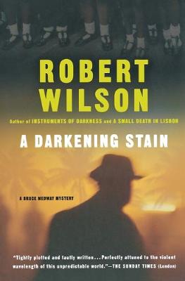 Book cover for A Darkening Stain