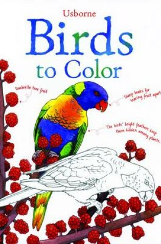 Cover of Birds to Color