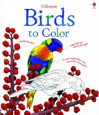 Book cover for Birds to Color