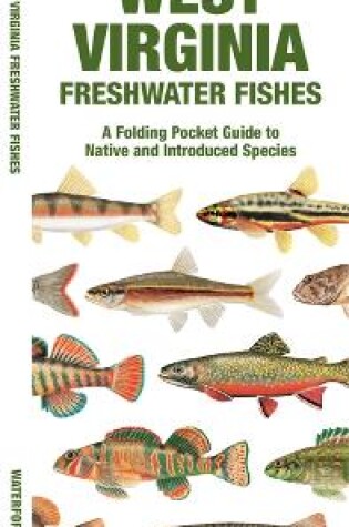 Cover of West Virginia Freshwater Fishes