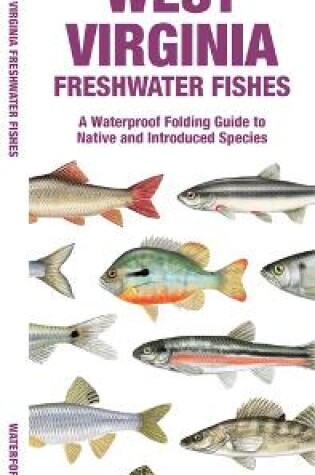 Cover of West Virginia Freshwater Fishes