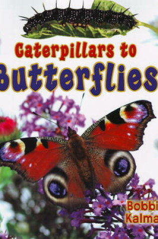 Cover of Caterpillars to Butterflys