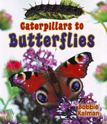 Cover of Caterpillars to Butterflys