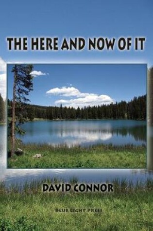 Cover of The Here and Now of It
