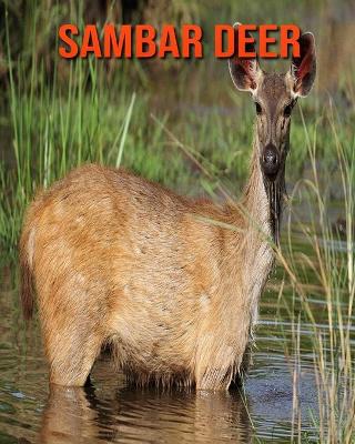 Book cover for Sambar Deer