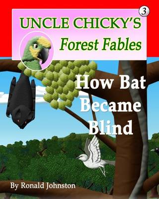 Book cover for How Bat Became Blind