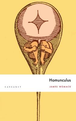 Book cover for Homunculus