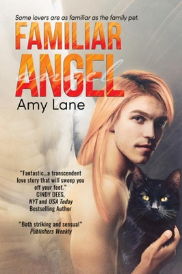 Book cover for Familiar Angel Volume 1