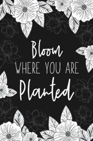 Cover of Bloom Where You Are Planted