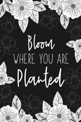 Book cover for Bloom Where You Are Planted