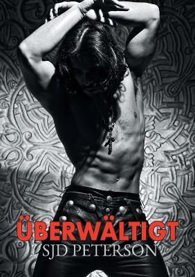 Book cover for berwltigt (Translation)