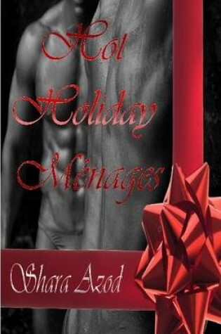 Cover of Hot Holiday Menages