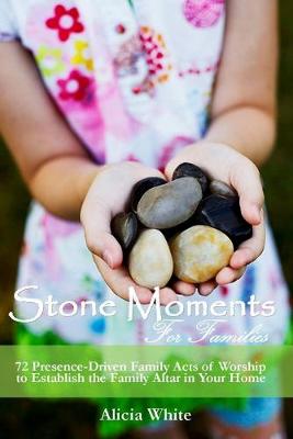 Book cover for Stone Moments for Families