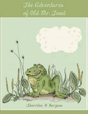 Book cover for The Adventures of Old Mr. Toad (Illustrated)