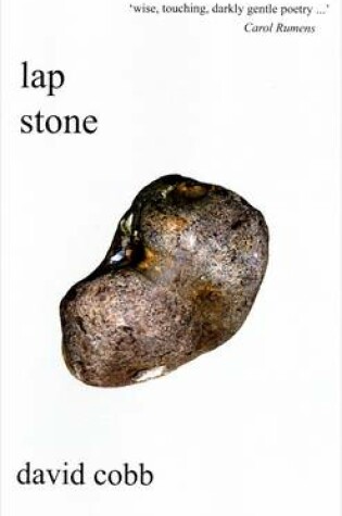 Cover of Lap Stone