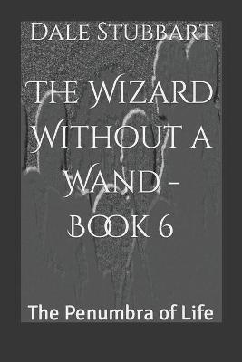 Book cover for The Wizard Without a Wand - Book 6
