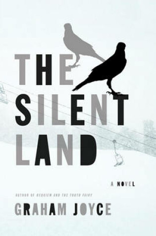 Cover of The Silent Land